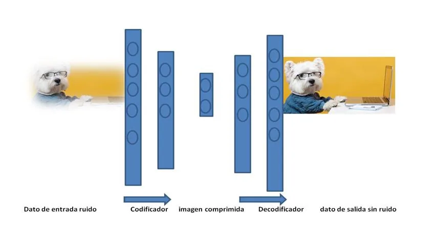 autoencoder_imagen_ruido.jpg